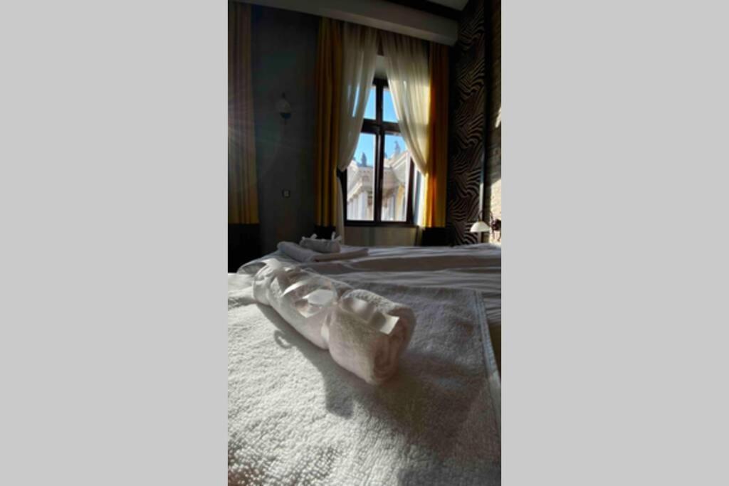 Safari Royal Apartment Oradea Exterior foto